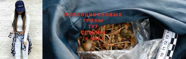 стафф Киреевск