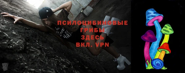 стафф Киреевск