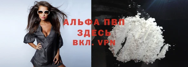 стафф Киреевск